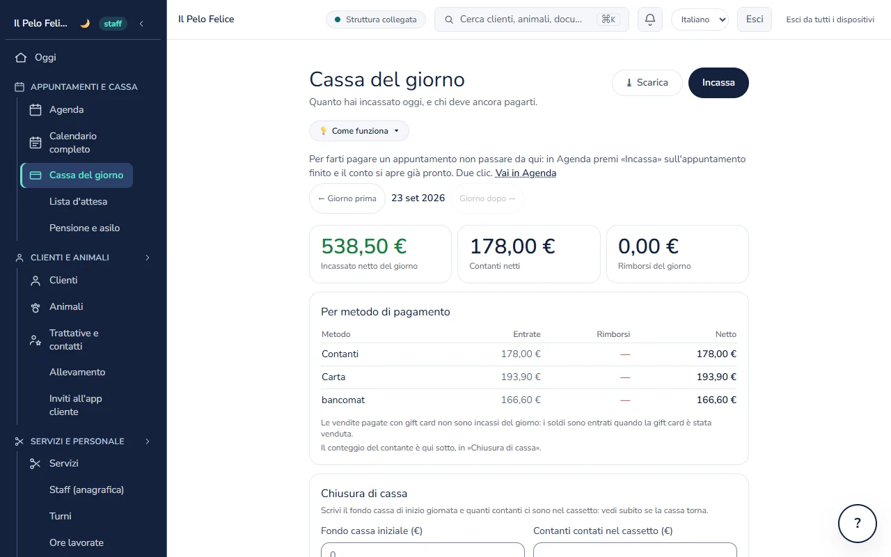 Cassa e incassi